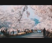 Sakura(Cherry blossom) was full of bloom last week here in Japan.n5D mark III/24-105f4L/Tamron90(272E)nMagicLantern1.2.3nMusic: