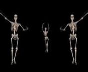 Qanawat music - Hussain Aljassmi Boshret Kheernnحسين الجسمي - بشرة خير &#124; 2014 (فيديو كليب) حصرياnnOffical video: https://www.youtube.com/watch?v=QUBvVTNRp4QnnTrio de esqueletos bailando Danza del VientrenTrio de squelettes danse du ventrenTrio de esqueletos dançando dança do ventrenTrio von Skeletten tanzen BauchtanznBelly Dance dans iskeletlerin Trionالثلاثي من الهياكل العظمية الرقص رقص شرقيnسه نفر از اسکلت رقص 