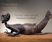 CT-scan of a 'Feejee Mermaid' from ct scan