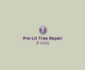 prelit_tree_repair_new_title_3K.mp4 from mp k