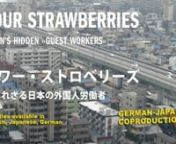 SOUR STRAWBERRIES Trailer from japantimes