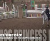 2006 Grey mare by Dexter Leam Pondi out of Princes Alice