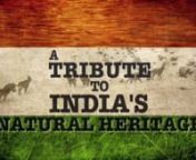 In celebration of Republic day, we at Felis Films would like to bring to you a unique assemblage of footage from across Wild India. This video is a tribute to the little-known citizens of India, who also share the same National Anthem as we do. Jai Hind!nCredits: Director - Sandesh Kadur Editor - Chinmay RanenMusic - Jana Gana Mana - Bharat Bala Productions, Indian Army.nA film by Felis Films. www.felis.in