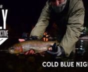Colorado&#39;s Blue River through Dillon and Silverthorne is popular with fly anglers in every season. Easy access and the promise of big fish equate to plenty of company on any decent run. During the day. The Fly Collective set out this winter to show a different, darker side of the Blue. Just as fishy, just as cold, but an entirely different experience.nnMusic: Timber Timbre