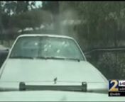 In 2010, a troubled young South Georgia woman was unarmed and inside her car, pinned by patrol vehicles, when eight bullets pierced her front windshield, killing her.nA police captain told state agents who arrived to investigate, “The only reason we call you in is for public perception,” he said. “We have to protect our officers.”n nThe case closed with little scrutiny and the officers were cleared of any wrongdoing.nnLocal police believed they could manipulate the truth and the public w