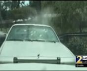 In 2010, a troubled young South Georgia woman was unarmed and inside her car, pinned by patrol vehicles, when eight bullets pierced her front windshield, killing her.nnA police captain told state agents who arrived to investigate, “The only reason we call you in is for public perception,” he said. “We have to protect our officers.”n nThe case closed with little scrutiny and the officers were cleared of any wrongdoing.nnLocal police believed they could manipulate the truth and the public