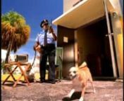Baha Men, \ from who let the dogs out movie