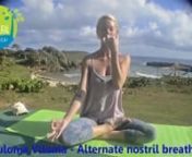 Join best meditation retreats organised by Go Natural Jamaica. Get the best spiritual yoga to reconnect with yourself, relax and revitalize the body, mind and soul at the yoga in jamaica. Book retreats online at the lowest price.nnVisit At :- http://www.gonaturaljamaica.org/