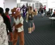 Oh so many furries!!The longest fursuit parade in history.