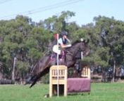 Julia Hoefler riding Fancy Clancy 115 EvA80 Tintern Interschool Horse Trials 2016 from fancy 80