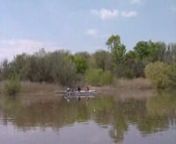 Vídeo sobre lo acontecido en la sesión de J. Wilson en el río Ebro tras los gatos o siluros