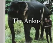 The Ankus from ankus