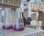 Get 100&#39;s of FREE Video Templates, Music, Footage and More at Motion Array: http://bit.ly/2SITwWM nnnGet this here: https://motionarray.com/stock-video/boiling-chemicals-211862nnBoiling Chemicals is a stock video that shows stunning footage of purple colored chemicals boiling inside a laboratory to find out their composition. This 4096x2160 (4K) video clip will look gorgeous in any video project that depicts science, chemistry, experiments and the like. Get this video today, and use it to your n