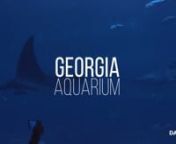 The Georgia Aquarium located in downtown Atlanta is a must see when visiting.The aquarium holds more than 10 million gallons of water and has some pretty amazing aquatic life and is the largest aquarium in the world.