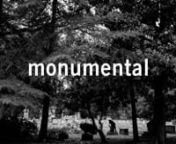 &#39;monumental&#39; is an experimental documentary about toppled statues, Southern history, the legacy of names, the resilience of bricks, the power of poetry, the definition of patriotism, hidden family trees and segregated cemeteries. There is no static history. It lives on, layered in the landscape, painted on the brick mills. Through investigating the ripples of the words and deeds of local postbellum industrialist Julian Shakespeare Carr, paradoxically called “the most generous white supremacist