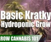 A time lapse video and guide of a cannabis grow from seed to harvest, grown in a 32 ounce mason jar using the Kratky passive hydroponic system. For more details on how to build this a Kratky setup I&#39;ll be posting a video soon with a step by step guide on how to put together a (better) Kratky build. Like the content? Then check out our book, The Absolute Beginner&#39;s Guide to Growing Cannabis, at https://amzn.to/2MC3TNbnnItems I Used For This Grow:nnFloraSeries Hydroponic Nutrients: https://amzn.to