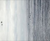 By Rebeca Méndez. Single channel video. Duration: 17 minutes, 46 seconds. Sound by Drew Schnurr. 2013.n&#39;CircumSolar, Migration 3&#39; is a portrait of migratory birds captured at the western most point of Iceland, at Látrabjarg, in the West Fjords. The image is experienced vertically to defamiliarize the landscape to understand it more as ‘space,’and to focus on the migratory patterns as a kind of ‘code.’