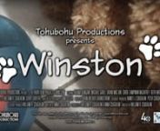 http://www.tohubohu.tv/winstonnnLEVIN GRAND PRIZE: 2016 Wheaton Film Festival • Wheaton, MDnSILVER AWARD: Independent Short • TIVA Peer Awards 2016nPEOPLE’S CHOICE AWARD: All Paws Film Festival 2017 • Gatineau, QCn“BEST OF” SELLECTION: 48 Hour Film Project 2016 • Washington, DCnOFFICIAL SELLECTION: Brownsville International Film Festival 2016 • Brownsville, TXnOFFICIAL SELLECTION: Miami Independent Film Festival • January 2017nOFFICIAL SELLECTION: 2017 Central Michigan Internationa