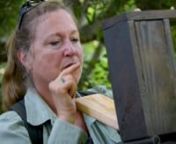 Master Naturalist Susan Hester Edmunds monitors Prothonotary Warbler nest boxes in an Audubon Society project, which works nicely with her Kamana nature study program.