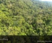 4k Drone aerial footage view flying over green and lush forest and dense jungle trees - wild coast transkei eastern cape.nnThis stock video is available for licensing from major stock video agencies. For best rates, purchase and download a full resolution version without a watermark directly from Africa Rising here: https://www.africarising.tv/downloads/african-stock-video-drone-footage-tree-forest-wild-coast-transkei-south-africa-3/