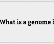 What is a genome? Find out in this short animation developed by Health Education England&#39;s Genomics Education Programme.nnwww.genomicseducation.hee.nhs.uk