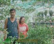 Humans and Halamans (People and Plants) is a short documentary about village residents and their vegetable gardens set in the community that started urban farming in metropolitan Manila. It talks about its benefits, their successes in promoting it across other cities and abroad, and the growing awareness of the Filipino citizens to sustainable living. nnnsupported by: nProject Gulayan and Bulaklakan of Brgy. Holy Spirit nCenter for Agrarian Reform and Rural DevelopmentnKaisahan Tungo sa Kaunlara