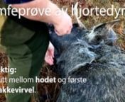 Oppdagelsen av skrantesjuke hos hjortevilt i Norge har medført økt behov for kartlegging av sykdommen. Som ledd i kartleggingen bes jegere i utpekte kommuner og villreinområder om å samle inn hjerneprøver og svelglymfeknuter fra dyr felt under ordinær jakt.