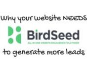 Learn Why BirdSeed is the Ultimate