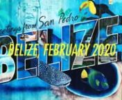 Girls trip to the Islands of Ambergris Caye and Caye Caulker in Belize. February 2020. Fell in love with the islands, the people and the island life!