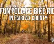 Bicycling Trailblazing Women rRide a bike... See Stunning Scenery... Explore and Enjoy the Journey with Us.rIt’s Leaf Peeping Spots In Fairfax CountyrCooler temperatures, shorter days, the changing of the leaves are here. Check out these 5 Fall Foliage Bike rides to do this fall.rYou will see majestic forests, wildflower-speckled meadows and vast wetlands, lakes, farm animals, horses and birds. All this lends itself to one unique fall foliage adventure...r rThe Bike Trails in this video are lo