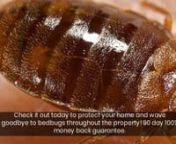 Find out more at https://killbedbugsfast.com/bed-bug-treatment-cost-exterminator-prices-washington-dc/ Free shipping to these Washington DC wards and neighbourhoods below along with a 90 day 100% money back guarantee. nnWard 1: Adams Morgan, Columbia Heights, Howard University, Kalorama, LeDroit Park, Lanier Heights. Mount Pleasant, Park View, Pleasant Plains, Shaw and U Street.nnWard 2: Burleith, Chinatown, Downtown, Dupont Circle, Federal Triangle, Foggy Bottom, Georgetown, Logan Circle, Mount