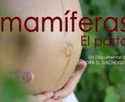 Hola. ¿Quieres ayudarme a traducir Mamíferas a otros idiomas? Escribe a sandra@ecoperiodismo.es y te cuento cómo puedes ser parte de esta expansión de Mamíferas en el mundo.nnCorto Mamíferas: El Parto (20 minutos) https://vimeo.com/453655912nnMamíferas somos todas. Nosotras las mujeres somos las protagonistas en nuestro parto, nuestra lactancia y nuestra crianza. Ser mamíferas es lo que nos da poder desde la biología para continuar con la especie humana.Estamos preparadas para concebi