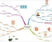 Educe Mind Maps n1. Better conceptual understanding of the subject.n2. Quick and easy to revise, 10x faster.n3. Improved memory and recall.nWill help you get more marks. nFor all chapters please contact team@educe.org or visit www.educe.org