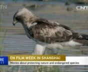 En china abren los informativos con nuestro documental DEHESA.nnThe world&#39;s film industry has taken a solid step in promoting environmental protection. China is taking the biggest initiative in the effort by hosting the International Green Film Week in Shanghai this summer. nnGreen Film Week will feature movies about protecting nature and endangered species. The films are from 15 countries and regions. nn