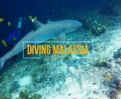 We dive not to escape life, but for life not to escape us.nnGuest: Richard Mans (September 2016)nA video compilation of their week diving at Mataking and Sipadan island and surrounding dive locations. nVideo was shot only with GoPro Hero4 Black. nnCREDITnAirmazingvideo nWebsite: http://airmazingvideo.tumblr.com/nYouTube: https://www.youtube.com/user/airmazingvideon-------------------------------------------nFOR BOOKING ENQUIRIES:nMATAKING ISLANDnFacebook: https://www.facebook.com/MatakingIslandn