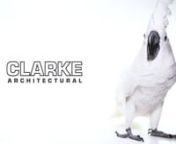 ClarkeSSvideo from ssvideo