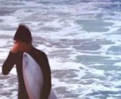19,834,589 Views - Youtube Video 2015 - METAL JIMMY ROCKS !!!!!!!!!!!!!!!!!!SEE HIM IN METAL NECK AS THE CREW TRAVEL TO AUSTRALIA !! https://vimeo.com/243607887 @ #Surf @ #Surfing #orangeCounty #Surfs #BTSxAMAs @ #SharonTate #Rip @ #Asshole: #CharlesManson #douchebag #DünyaÇocukHaklarıGünü #MasterChefMx #SurvivorSeries #FlyEaglesFly #Surfed #OC #Hawaii #costaMesa