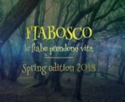 Fiabosco Spring Edition