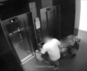 Rare Camera Footage Of Man Kicking A Small Cute Dog In To An Elavator And Again Through The Building Door!nShare This Video To Gather Awareness!nnFor Great Online Business Opportunities - Check Out www.workonlinenewcareer.com , just got a few great money making income offers from there