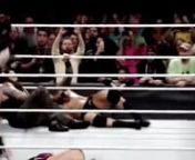 Brock Lesnar vs Goldberg Wrestlemania 33 - 2017