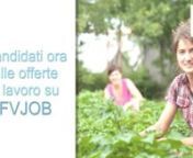 Cerchi lavoro? Scopri tutte le opportunità di lavoro su www.fvjob.itnCerchi personale in Friuli Venezia Giulia, nel Triveneto o su tutta ITALIA? Scopri i servizi pubblicitari di FVJOB!nnTrovi anche FVJOB sunFACEBOOK - https://www.facebook.com/FVJOBnTWITTER - https://twitter.com/fvjobnINSTAGRAM - https://www.instagram.com/fvjob/?hl=itnLINKEDIN - https://www.linkedin.com/company/fvjobnnTrovi qui:nCONCORSI PUBBLICI - http://www.fvjob.it/percorso-formativo/bandi-e-concorsinOFFERTE DI LAVORO - http: