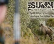 Rob travels to New Zealand in pursuit of free-range Himalayan Tahr on the South Island where he investigates the controversies surrounding big game hunting in New Zealand. A second-chance bull creates a sense of déjà vu as Rob attempts to redeem himself from a streak of bad luck. Part 1 of 2.