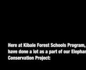 IEF Elephant Grant Movie 3 Final Version.mp4 from ief movie