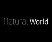 Title concept for the BBC’s Natural World.n“Water is the life blood of the natural world”nnThis iteration omits the animals for a more stylistically consistent piece with better pacing. nnFor more developments see:nwww.matthew-wood-dev.blogspot.comnn--update--nA bad bad workman blames his tools but there&#39;s a lot of subtlety lost in the dancing particles due to an unfortunate darkening for upload.
