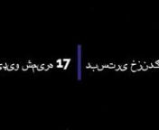 Bed Bugs - Pashto Video 17 | د بستر کیچ - پښتو ویډیو 17 from pashto video