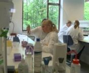 36 skoleelever fra 8.-10. klasse bruger en uge af deres sommerferie på at snuse til bioteknologi på Aarhus Universitet. Læs mere om Biotech Camp 2011 her: http://science.au.dk/nyheder-og-arrangementer/nyhed/artikel/ananas-enzymer-og-selvlysende-bakterier/