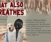 Why our love and affection is only limited to our pets when millions of animals are facing slaughter and suffering? Why do you adore your pet like your child but you eat the meat of another animal? n“That Also Breathes” is a short film that will make you rethink your treatment of animals.nAll animals have the right to live &amp; breathe.n------------------------------nPlease watch the Dominion documentary : nhttps://www.dominionmovement.com/watchnWe hope this video will change your attitude