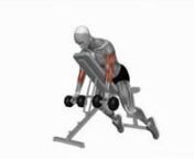 dumbbell-prone-incline-curl-fitness-exercise-worko-2023-02-26-12-35-23-utc from worko