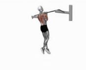 close-reverse-grip-chin-up-fitness-exercise-worko-2023-02-26-13-07-54-utc from worko