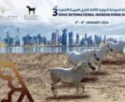 Doha International Arabian Horse Show 2024 from arabian